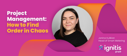 Project Management: How to Find Order in Chaos